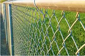 A close-up, angled view of a chain-link fence bordering a bright green lawn, with sunlight highlighting the top rail.